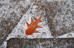 первое дыхание зимы...